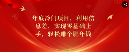 年底冷门项目，利用信息差，实现零基础上手，轻松赚个肥年钱【揭秘】-瀚宇网创