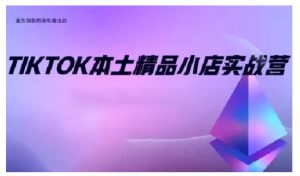 TikTok本土精品小店出海实战营,从入门到高阶,不止0-1!-瀚宇网创