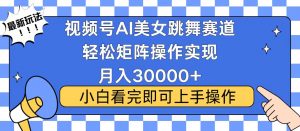 视频号蓝海赛道玩法，当天起号，拉爆流量收益，小白也能轻松月入30000+-瀚宇网创