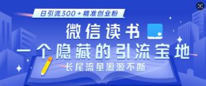微信读书,一个隐藏的引流宝地,不为人知的小众打法,日引流300+精准创业粉,长尾流量源源不断-瀚宇网创