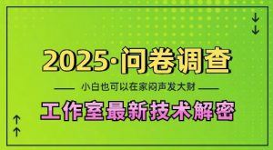2025问卷调查最新工作室技术解密：一个人在家也可以闷声发大财，小白一天2张，可矩阵放大【揭秘】-瀚宇网创