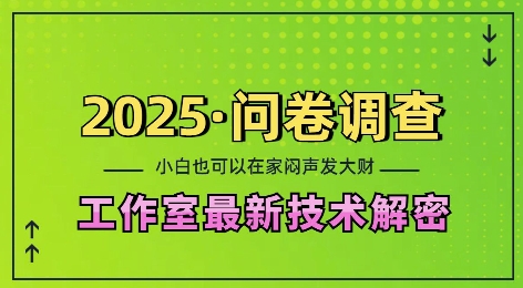 2025问卷调查最新工作室技术解密：一个人在家也可以闷声发大财，小白一天2张，可矩阵放大【揭秘】-瀚宇网创