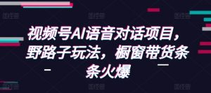 视频号AI语音对话项目，野路子玩法，橱窗带货条条火爆-瀚宇网创