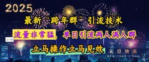 最新“跨年群”引流，流量非常猛，单日引流两人满人群，立马操作立马见效【揭秘】-瀚宇网创