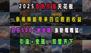 2025自热引流天花板,一条视频能带来四位数的收益,引流+变现双管齐下,日引500+创业粉,涨粉嘎嘎猛-瀚宇网创