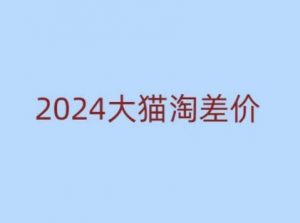 2024版大猫淘差价课程，新手也能学的无货源电商课程-瀚宇网创