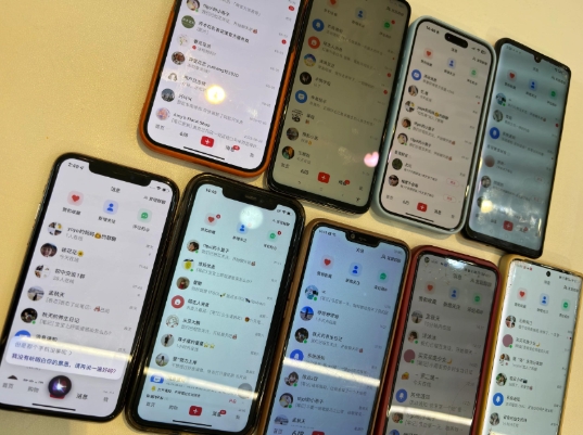 首发揭秘小红书私域日引500+创业粉四大模板,月入过W+全程干货!没有废话!保姆教程!-瀚宇网创