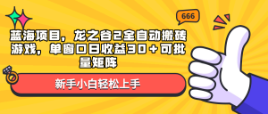 蓝海项目，龙之谷2全自动搬砖游戏，单窗口日收益30＋可批量矩阵-瀚宇网创