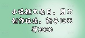 小说推文项目，图文创作玩法，新手10天挣3000-瀚宇网创