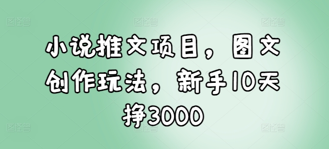 小说推文项目，图文创作玩法，新手10天挣3000-瀚宇网创