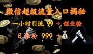 微信超级流量入口揭秘:一小时引流 99 + 创业粉,日涨粉 999 +-瀚宇网创