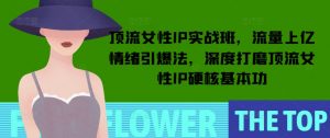 顶流女性IP实战班,流量上亿情绪引爆法,深度打磨顶流女性IP硬核基本功-瀚宇网创