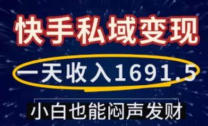 一天收入1691.5，快手私域变现，小白也能闷声发财-瀚宇网创