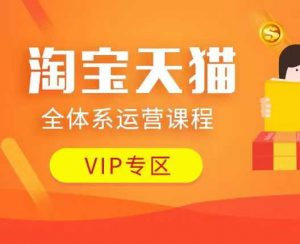 淘宝天猫全体系运营课程：店铺全系运营、动销玩法、付费推广、流量提升、擦边球玩法等等-瀚宇网创