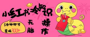 小红书冷知识账号，无脑复制粘贴，5分钟即可变现3张-瀚宇网创