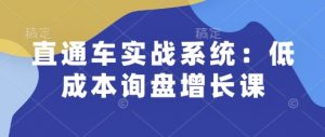 直通车实战系统：低成本询盘增长课，让个人通过技能实现升职加薪，让企业低成本获客，订单源源不断-瀚宇网创