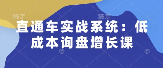 直通车实战系统：低成本询盘增长课，让个人通过技能实现升职加薪，让企业低成本获客，订单源源不断-瀚宇网创