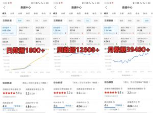 拼多多虚拟店铺项目,电脑挂机自动发货,单店日利润300+-瀚宇网创