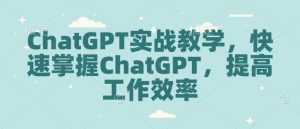 ChatGPT实战教学，快速掌握ChatGPT，提高工作效率-瀚宇网创