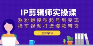 IP剪辑师实操课:涨粉跑模型起号到变现,挂车视频打造爆款带货-瀚宇网创