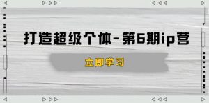 打造 超级个体-第6期ip营:商业认知,产品设计,成交演练,解决知识变现难题-瀚宇网创