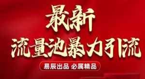 最新“流量池”无门槛暴力引流(全网首发)日引500+-瀚宇网创