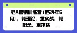 老A营销训练营(更25年1月),轻理论,重实战,轻概念,重本质-瀚宇网创