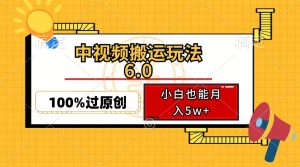 中视频搬运玩法6.0,利用软件双重去重,100%过原创,小白也能月入5w+-瀚宇网创