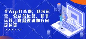 个人ip打造课，私域运营，公众号运营，知乎运营，底层逻辑和方向定位等-瀚宇网创