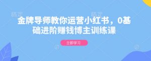 金牌导师教你运营小红书，0基础进阶赚钱博主训练课-瀚宇网创