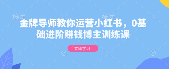 金牌导师教你运营小红书，0基础进阶赚钱博主训练课-瀚宇网创