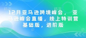 12月亚马逊跨境峰会, 亚马逊峰会直播,线上特训营基础版,进阶版-瀚宇网创