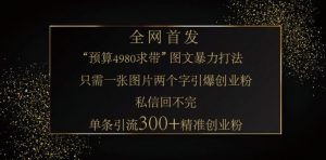 小红书神奇图片引流法,只需一张图,就能单条笔记凭借此方法,轻松引流 300 + 精准创业粉-瀚宇网创