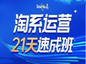 淘系运营21天速成班35期，年前最后一波和2025方向-瀚宇网创