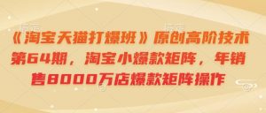 《淘宝天猫打爆班》原创高阶技术第64期,淘宝小爆款矩阵,年销售8000万店爆款矩阵操作-瀚宇网创