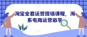 淘宝全套运营现场课程，淘系电商运营必学-瀚宇网创
