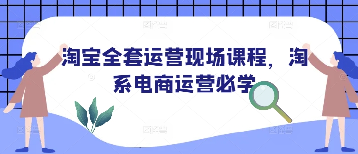 淘宝全套运营现场课程，淘系电商运营必学-瀚宇网创