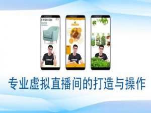 个人虚拟直播间的搭建与操作,专业虚拟直播间的打造与操作-瀚宇网创