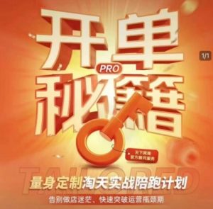 淘宝开单秘籍PRO，量身定制淘天实战陪跑计划，告别做店迷茫、快速突破运营瓶颈期-瀚宇网创
