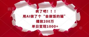 疯了吧！用AI做了个“会做饭的猫”，播放200万，单日变现1k-瀚宇网创