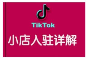 TikTok跨境小店运营全攻略,帮助你独立运营TK跨境小店的能力,实现销量增长-瀚宇网创