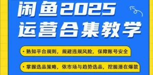 2025闲鱼电商运营全集,2025最新咸鱼玩法-瀚宇网创