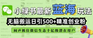 小绿书无脑搬运引流,全自动日引500精准创业粉,微信生态内又一个闷声发财的机会-瀚宇网创