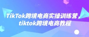 TikTok跨境电商实操训练营,tiktok跨境电商教程-瀚宇网创