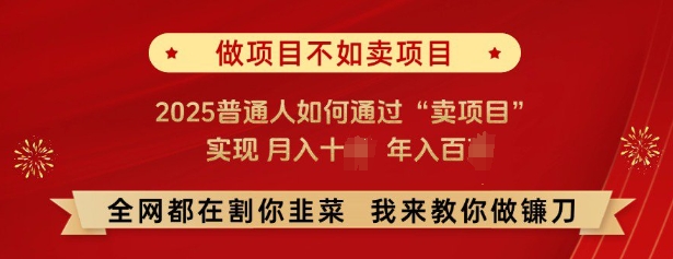 必看,做项目不如卖项目,2025普通人如何通过“卖项目”实现月入十个,年入百个-瀚宇网创
