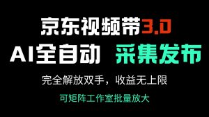 京东视频带货3.0，Ai全自动采集＋自动发布，完全解放双手，收入无上限...-瀚宇网创