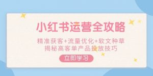 小红书运营全攻略，精准获客+流量优化+软文种草，揭秘高客单产品投放技巧-瀚宇网创