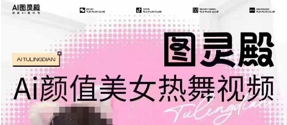 全网首发，原价988图灵殿AI颜值美女热舞视频，云端生图，轻松过原创-瀚宇网创