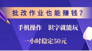 批改作业也能赚钱？0门槛手机项目，识字就能玩！一小时稳定50元！-瀚宇网创