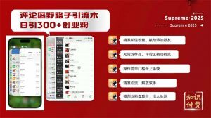 评论区野路子截流创业粉新方法,日被动加300+创业粉,精准引流被动添加...-瀚宇网创